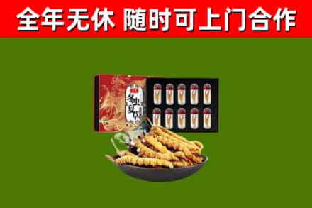 曲水县烟酒回收冬虫夏草礼盒.jpg